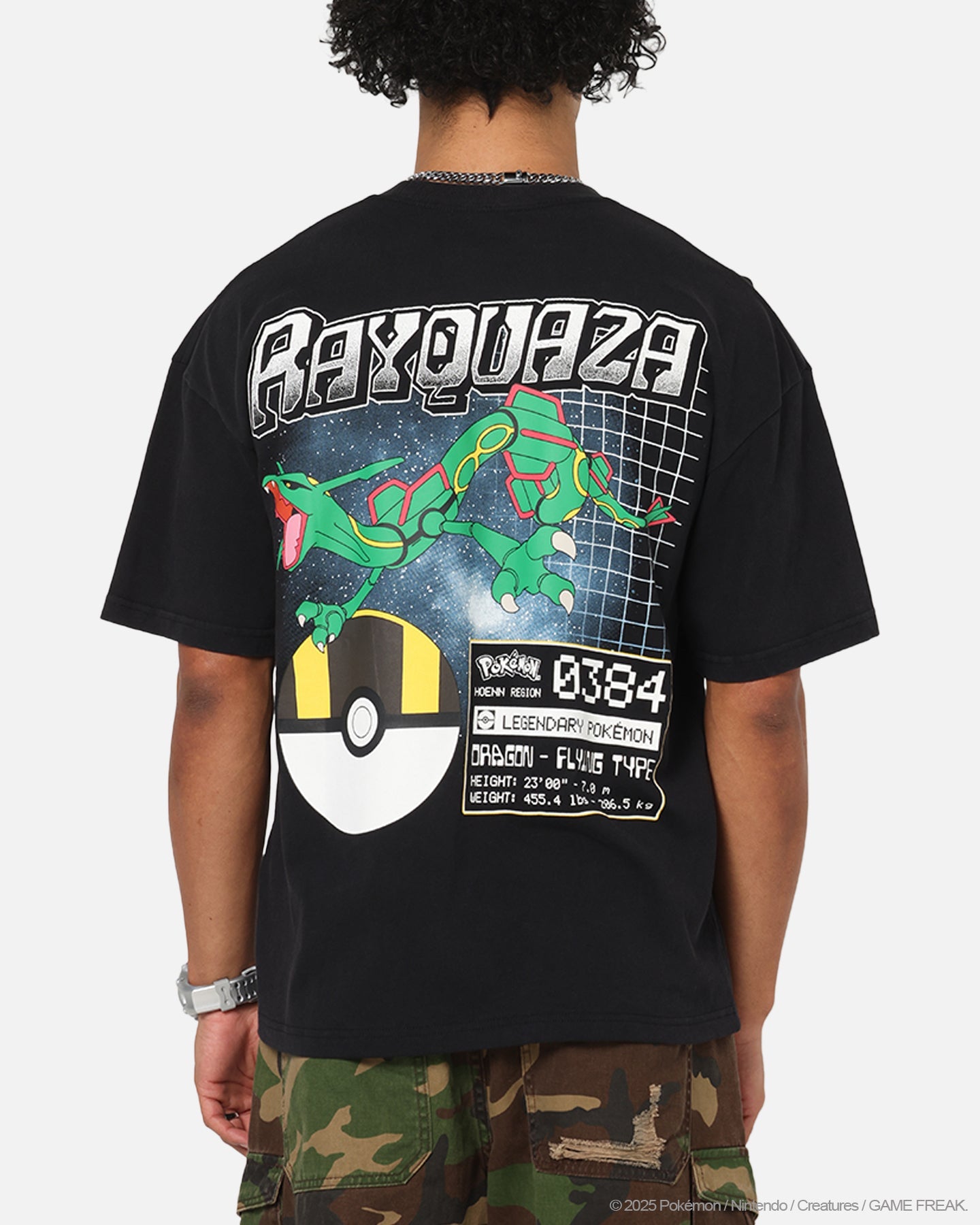The Pokémon Collection By 73Studio Rayquaza Vintage T-Shirt Off Black